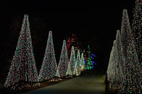 Holiday Activities: Redding Garden of Lights and New Year.